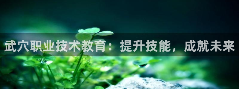 j9官网登录入口|武穴职业技术教育：提升技能，成就未来